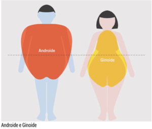 domagrimento localizzato, fisiologia tipologia androide e ginoide