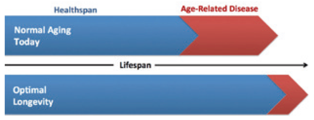 Age related macular degeneration dry form. Tsh 86-38:2006. классификация areds. Kidney int. Dry and wet armd macular scar.