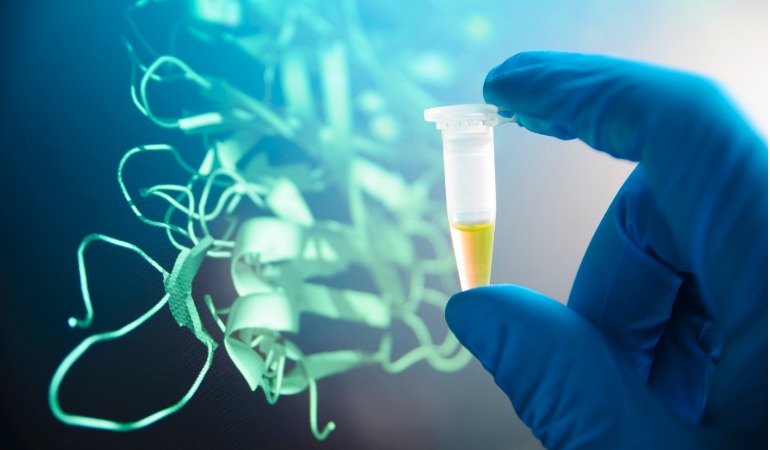 Scopri di più sull'articolo Aminoacidi essenziali (EAA) e fatica muscolare: cosa dice la ricerca scientifica?