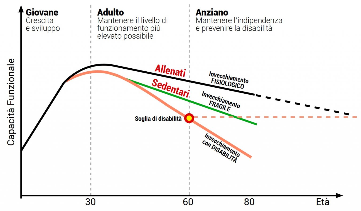 Muscolo, forza, invecchiamento e salute il mantenimento della salute