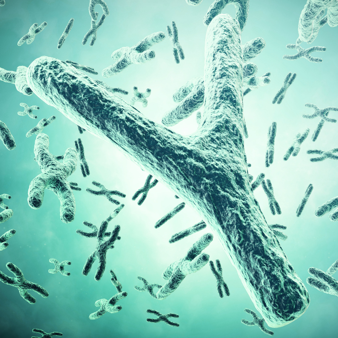 Telomeri e invecchiamento tutto quel che c'è da sapere