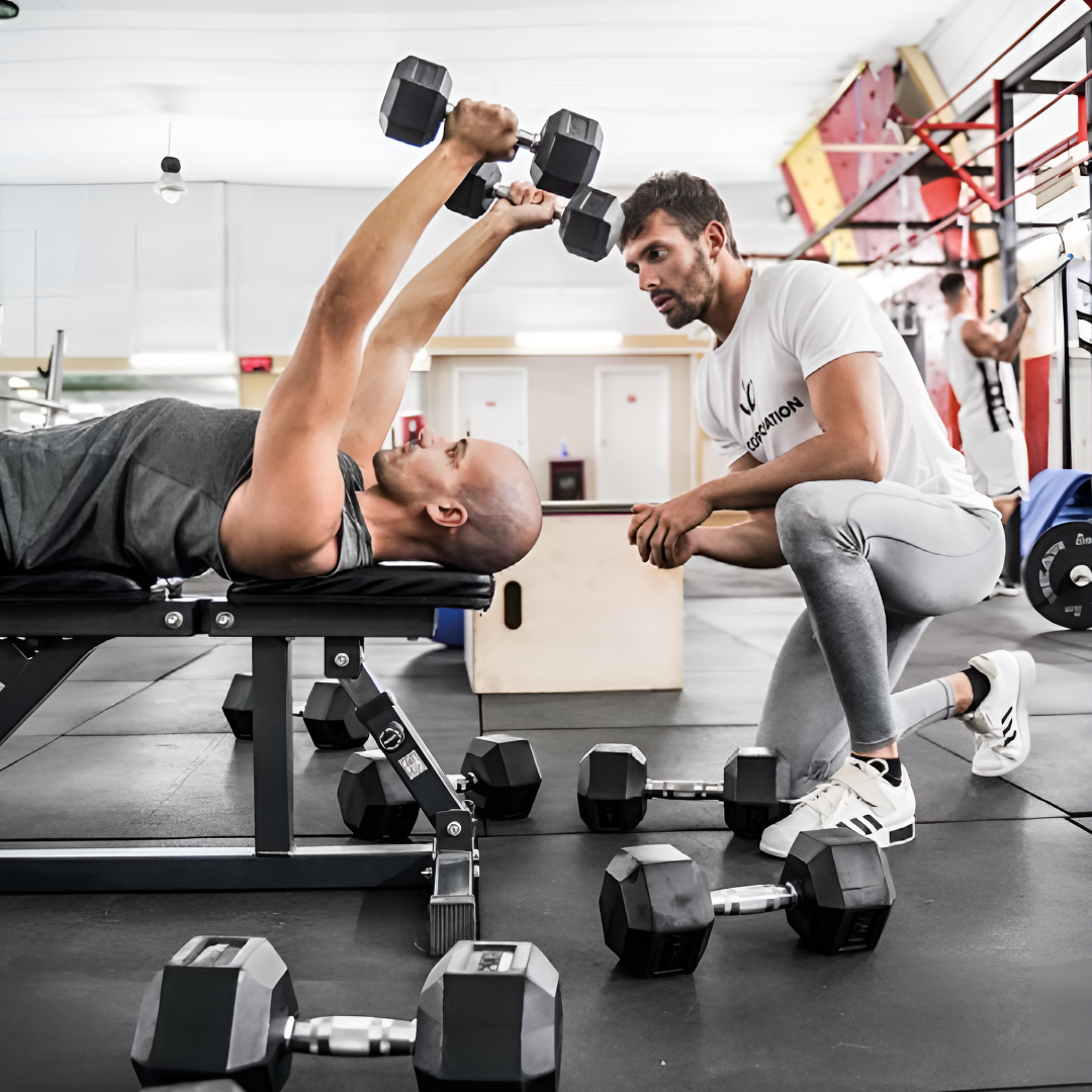Scopri di più sull'articolo Fitness, conoscenza e il compito del trainer in palestra