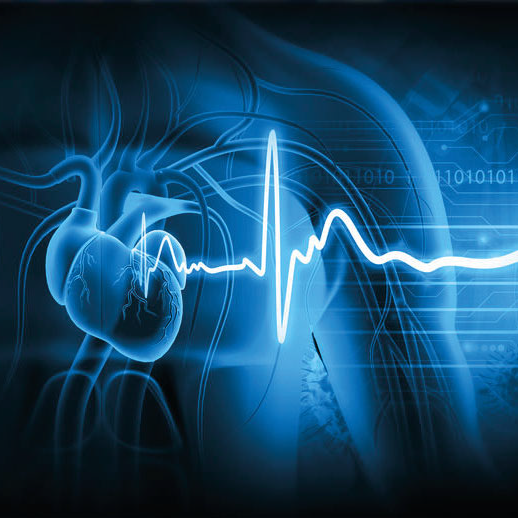 Scopri di più sull'articolo Il lattato potrebbe proteggere il cuore dalle malattie cardiovascolari