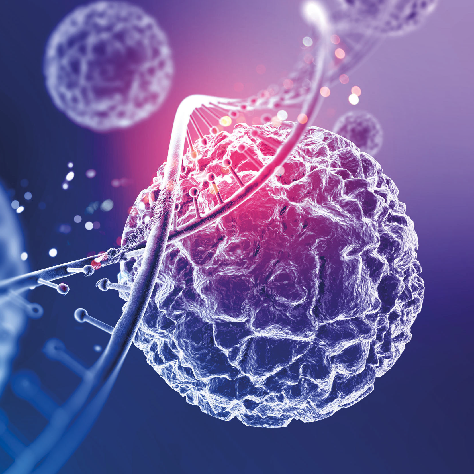 cellule staminali muscolari e proteina CRIPTO indispensabili per riparare il tessuto muscolare invecchiato e / o danneggiato