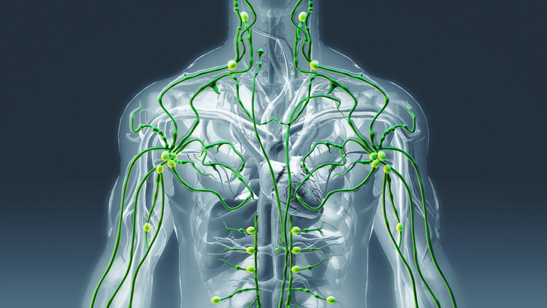 linfit ecco in cosa consiste questo allenamento finalizzato alla sollecitazione del sistema linfatico
