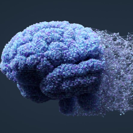 l'importanza della creatina per il cervello e le funzioni cognitive