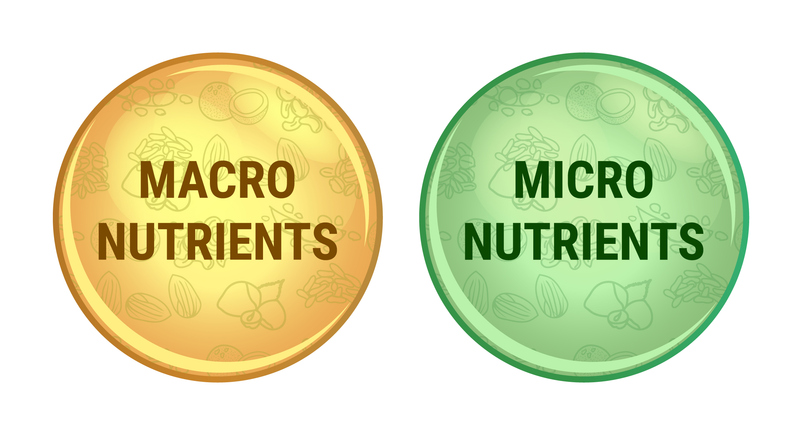Scopri di più sull'articolo Macro e micronutrienti: cosa sono, differenza e a cosa servono