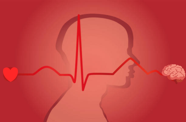 come migliorare l'HRV l'esito dello studio protagonista di una delle tesi premiate con Premio ISSA Europe 2025