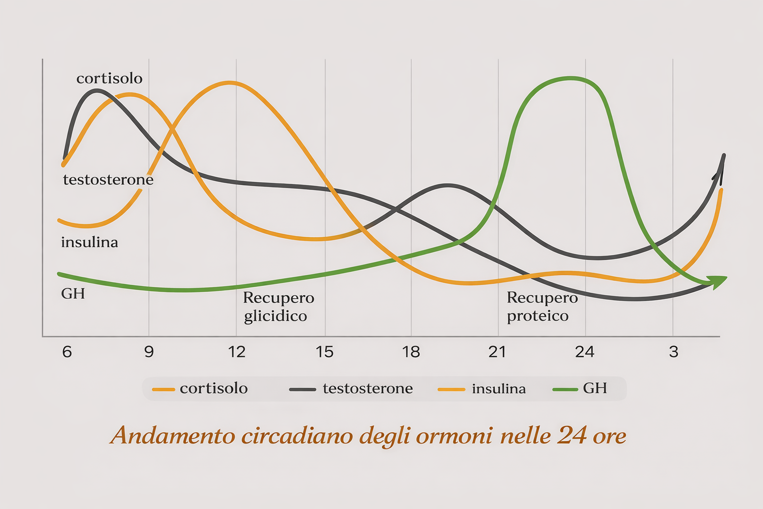 cos'è il ritmo circadiano e l'importanza della luce come regolatore