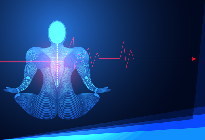 come riequilibrare il sistema nervoso, il metodo ISSA Europe spiegato passo passo